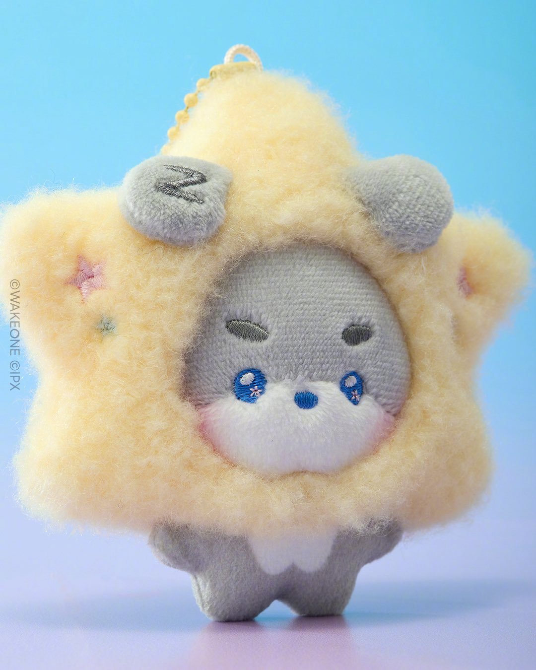 【Twi】ZB1 X linefriends新系列玩偶~ZB1组合