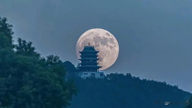 今年中秋的月亮有点特别，是“十五的月亮十六圆”，最圆的时候是7号上午11点多，虽