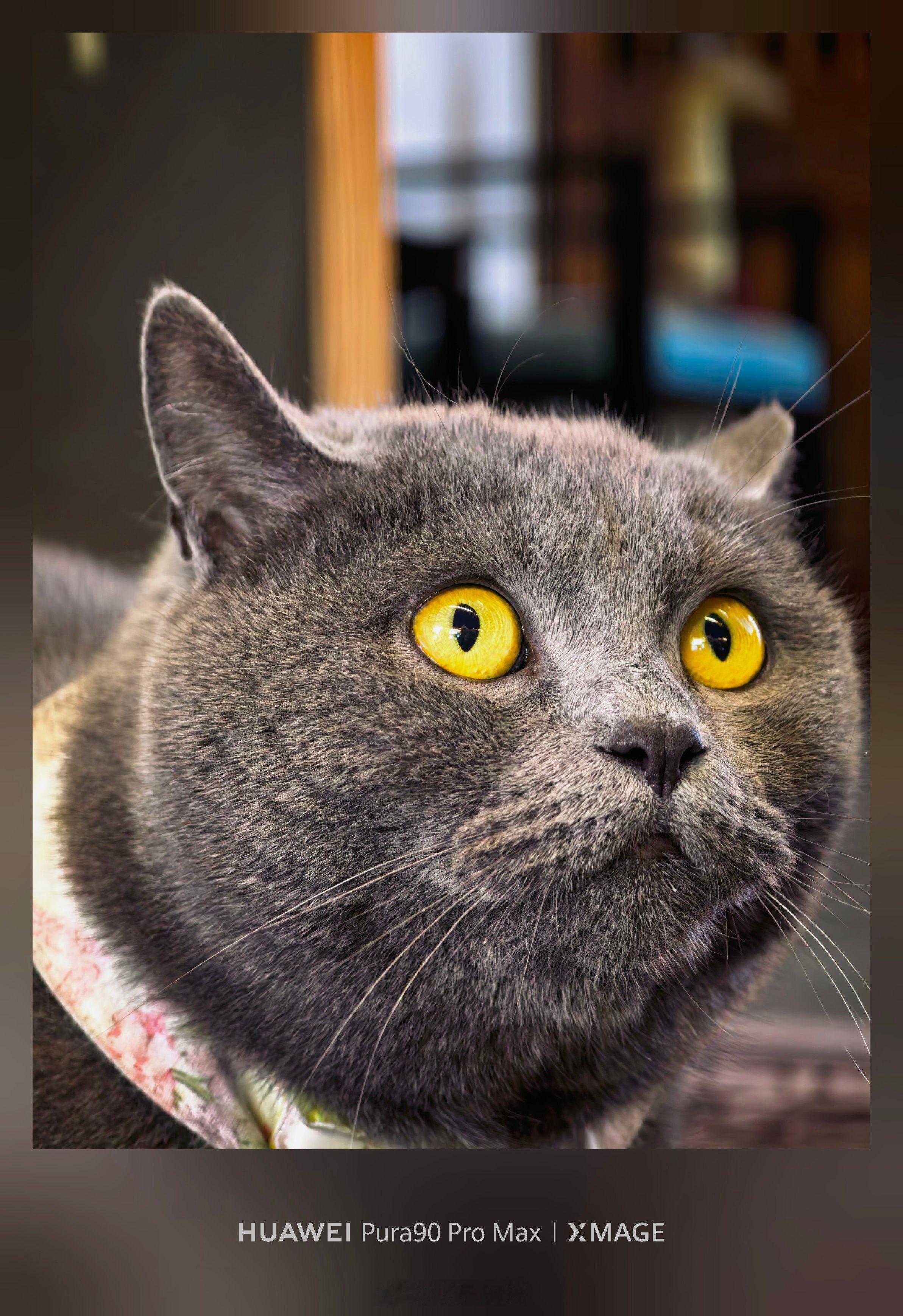 大家晚安🌙明天见~ 