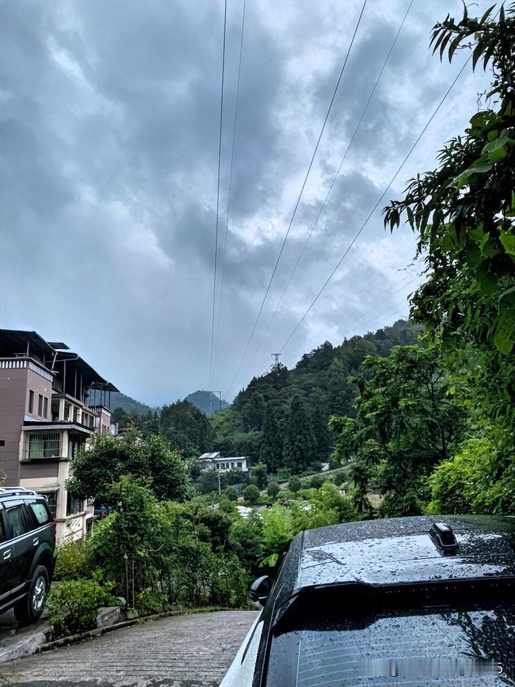 傍晚散步，走到小区公路尽头，我兀自独立，眺望迷雾朦朦的远山。

忽然，一阵晚风，