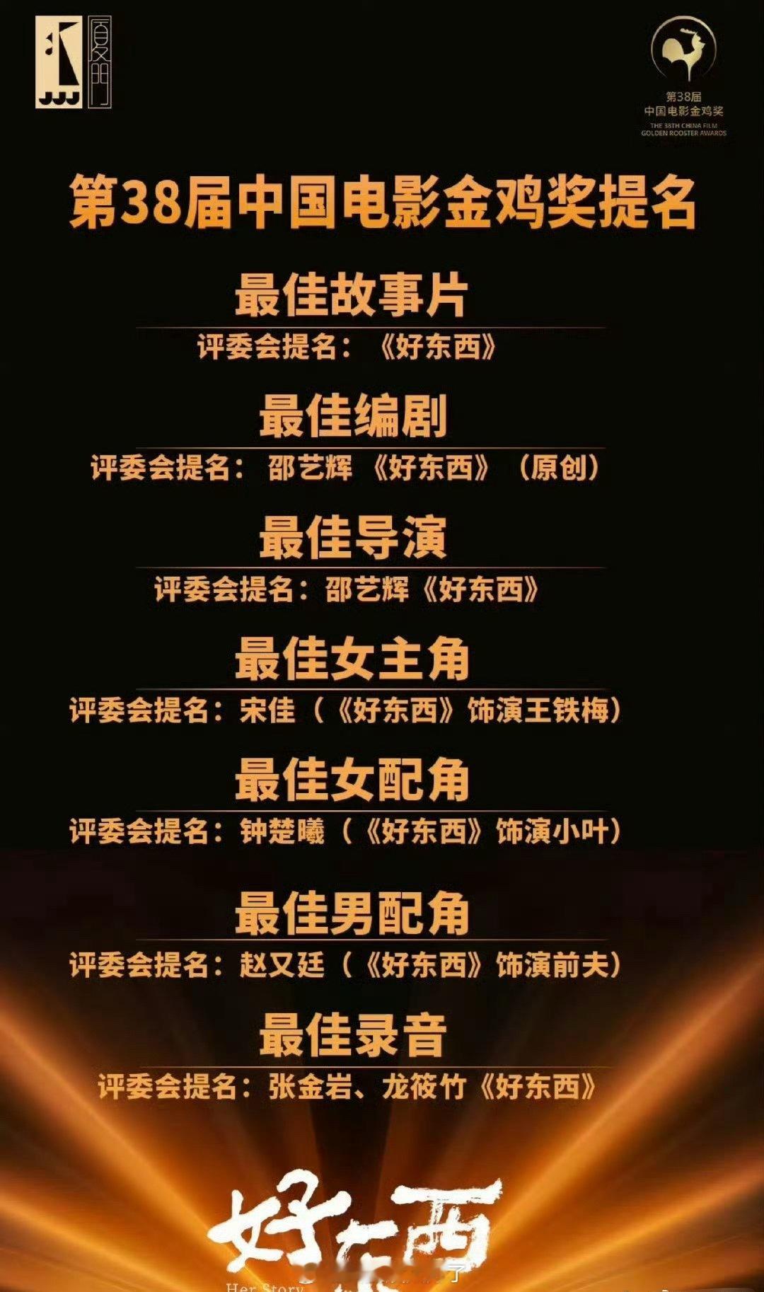 这个《好东西》赢嘛了，竟然提名了这么多奖项。