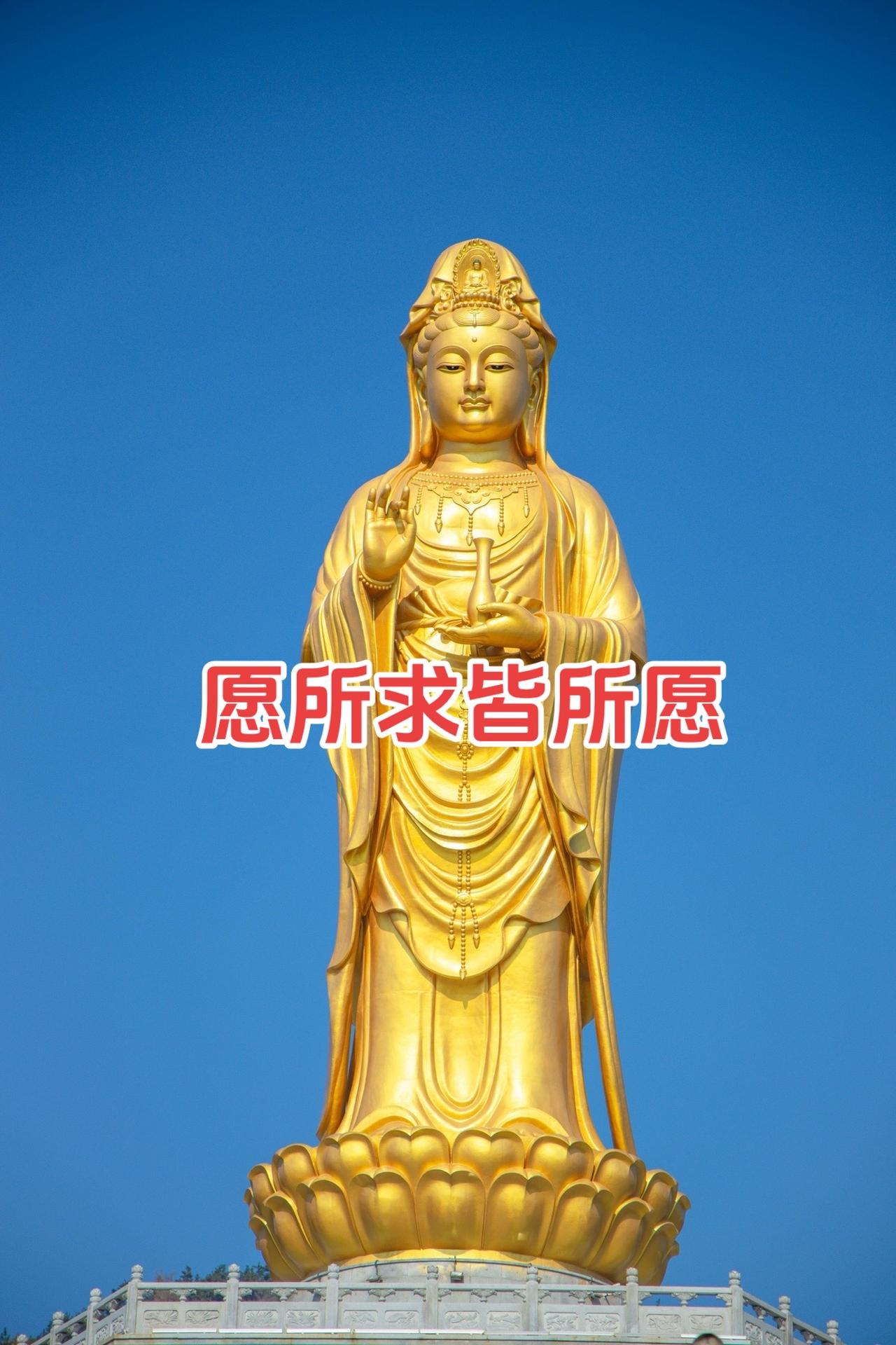 我们常常为错过一些东西而感到惋惜，但其实，人生的玄妙，常常超出你的预料，无论什么