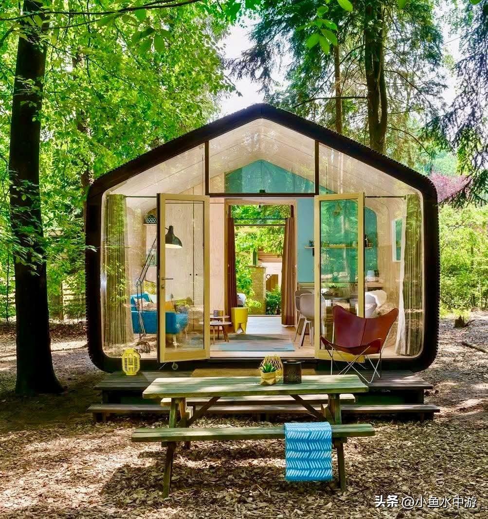 荷兰 🇳🇱 初创企业竟能用纸盖房子？模块化纸板屋24小时即可入住 🏠🌿！