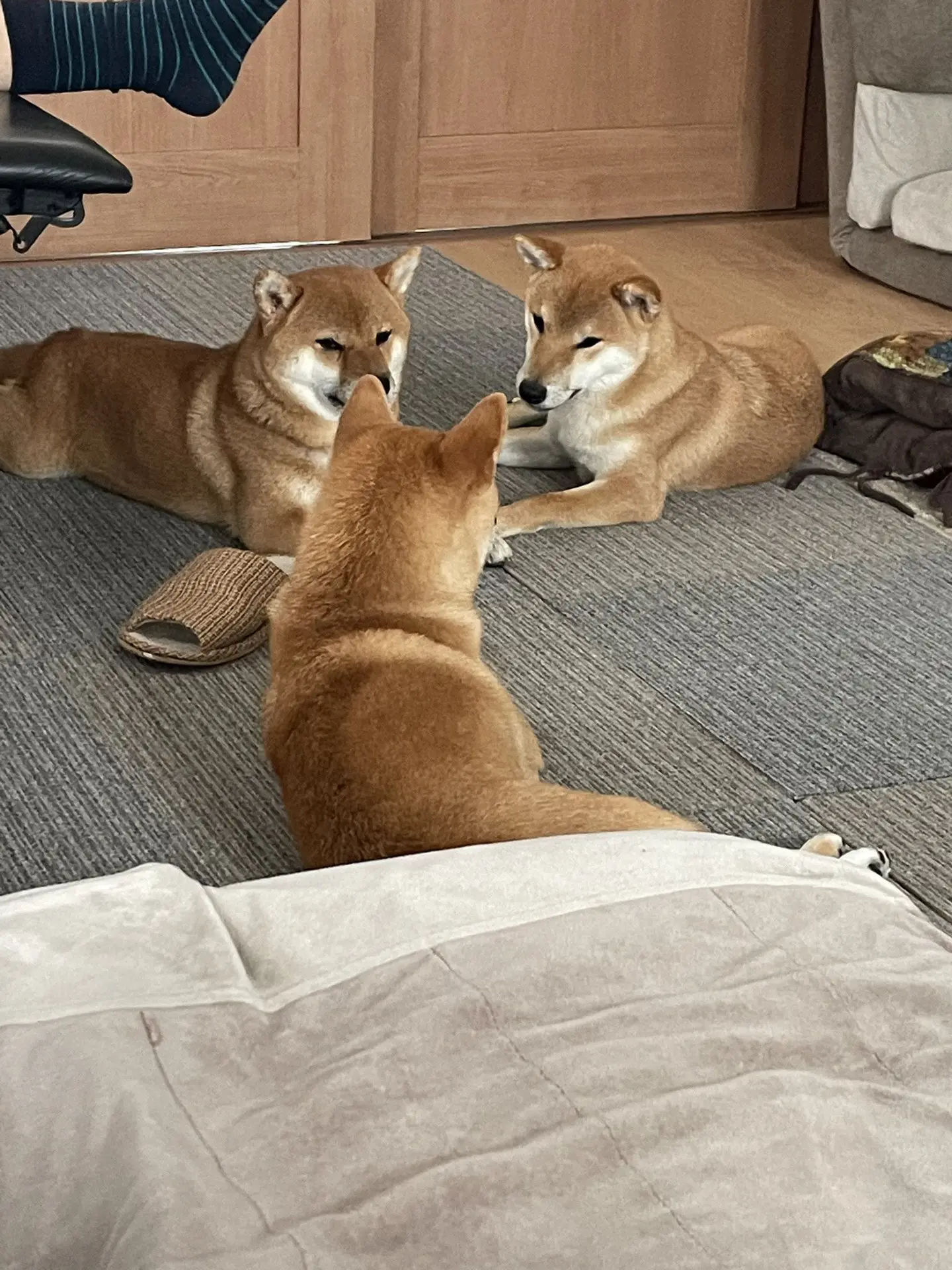 商量大事