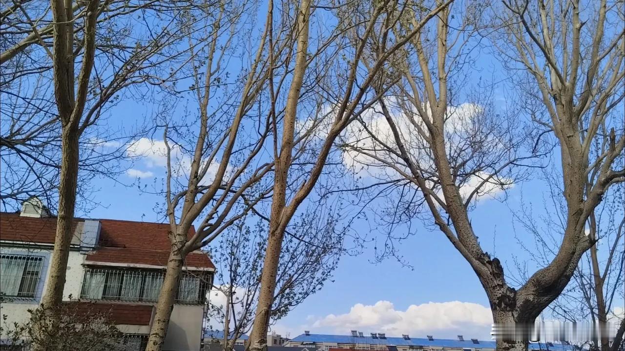我的旅行记录