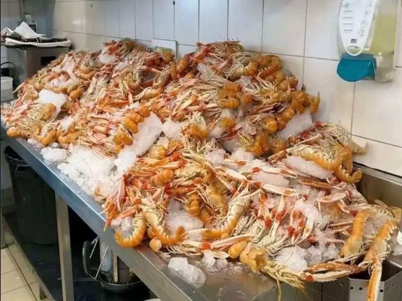 自助餐的大虾你敢吃吗？ 
