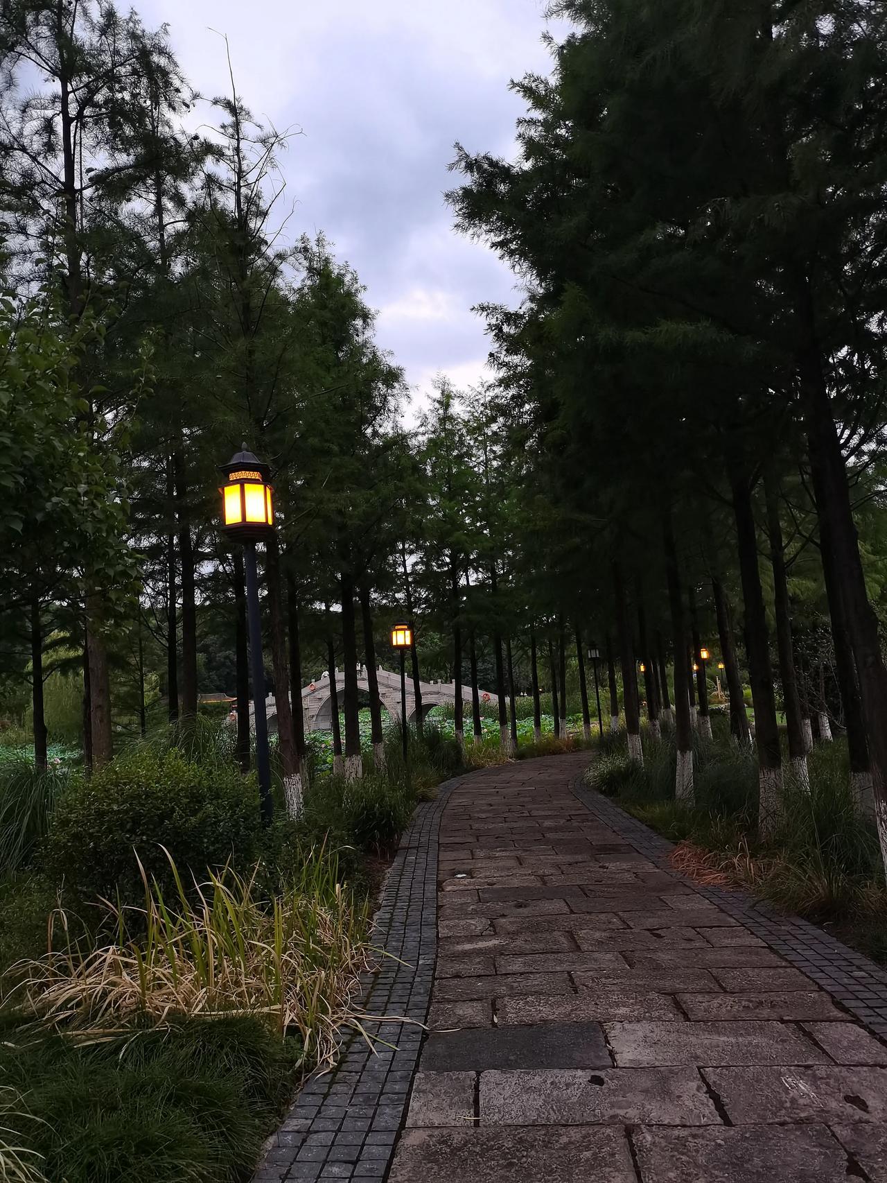 《重负与神恩》书里有句话：
 不要哭泣，
 为的是不被泪水带来的慰藉所麻痹。
