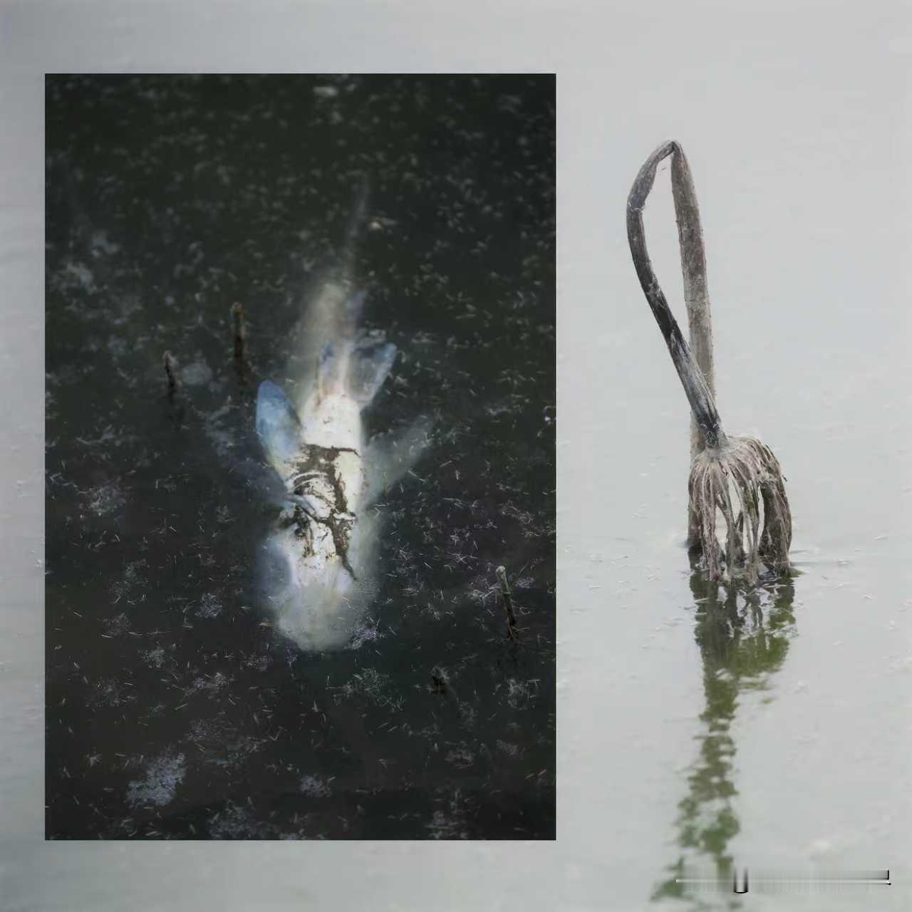 我超龄太多了，不参与了，谢谢请放心[比心]