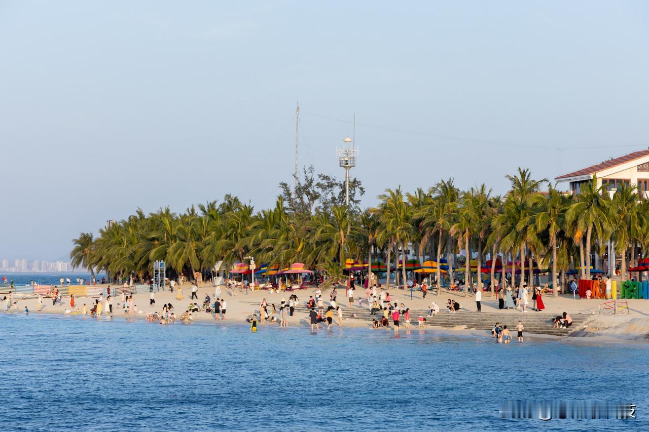这次住西岛民宿，最惊喜的是居然有专车接送！以前来岛上住，拖着箱子找路最头疼。这回