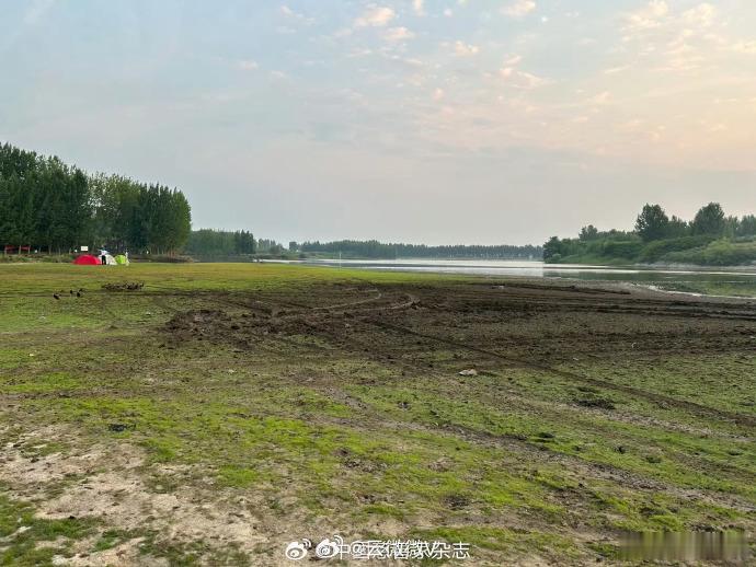 【青岛阿勒泰网红草地遭越野车队碾轧】6月29日，多名网友在社交平台发帖称，青岛胶