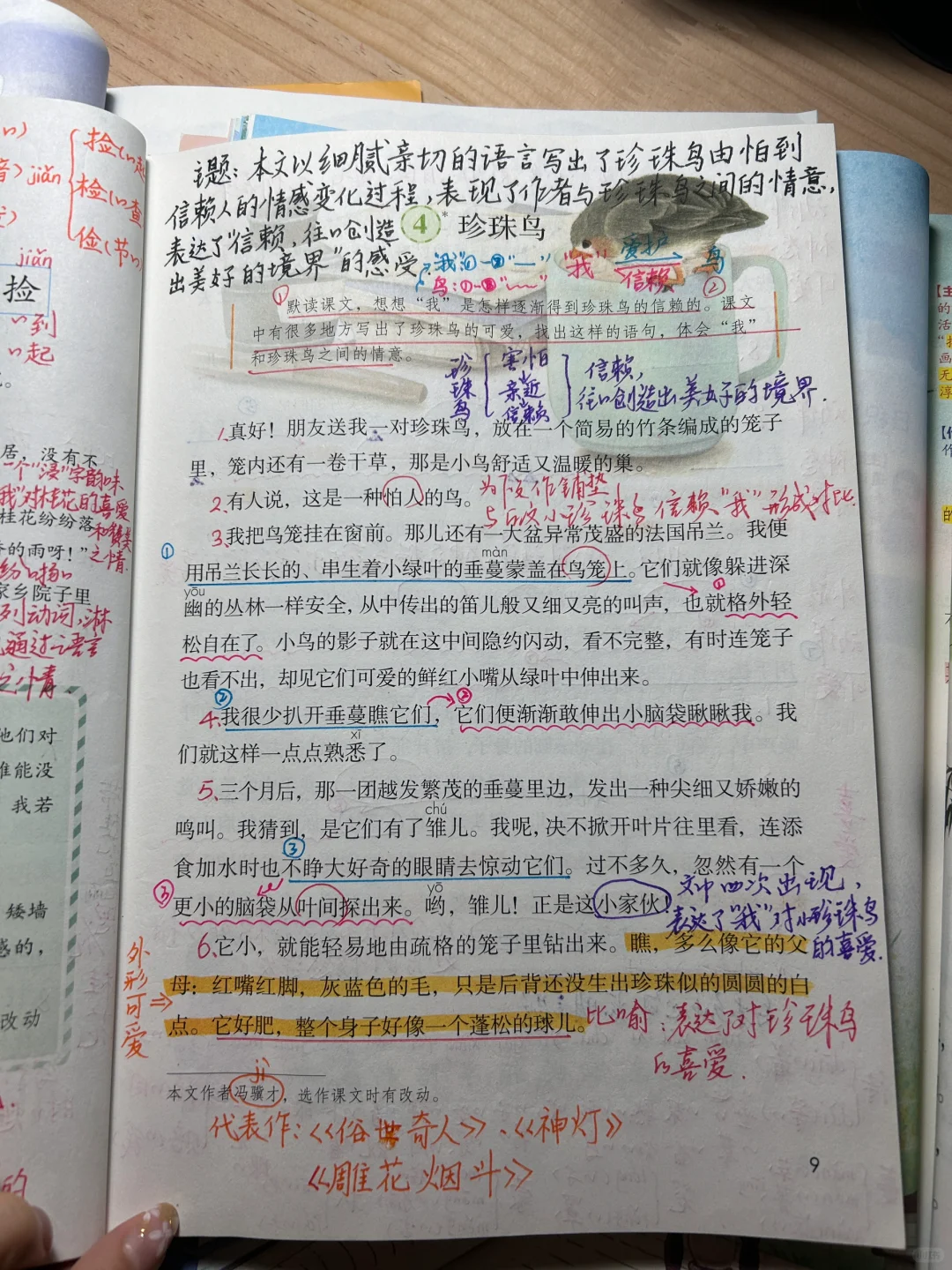 五上语文备课4《珍珠鸟》