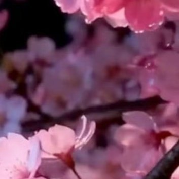 每日一善[超话][打call]‎每日一善 [打call]‎阳光‎信用 脚踏实地，