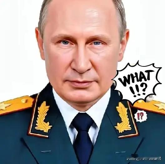 俄罗斯传来噩耗
普京又要头疼了
11月11日，俄罗斯驻欧盟使团公开发表声明，谴责