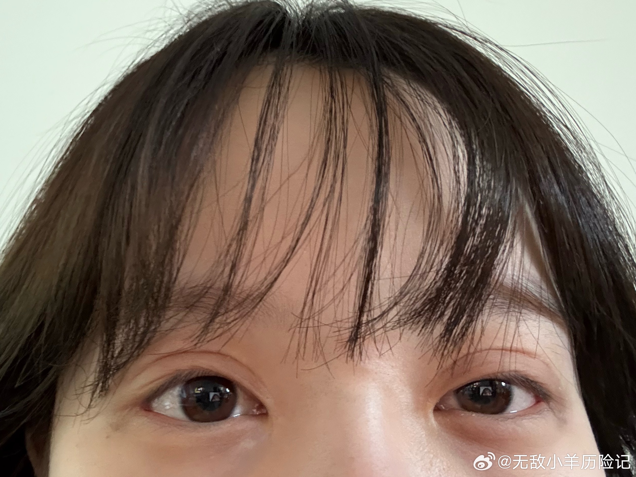 攀高枝我杀了你看到早上九点半，偶尔还得掉几滴眼泪起来肿成悲伤蛙了 ​​​