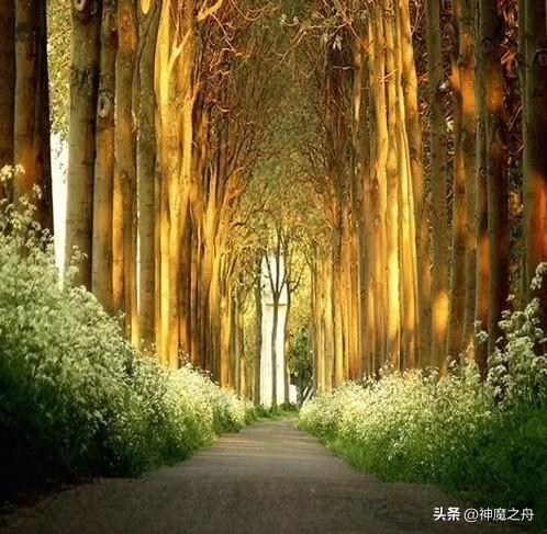 他这一生，好像什么都赶上了，又好像什么都没赶上。他总结了一下，觉得挺幽默，拿老百