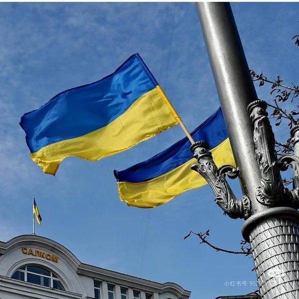 乌克兰进入破产倒计时不懂就问，如果一个国家破产的话会怎么样，乌克兰国库仅剩127