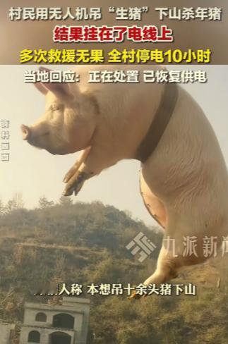 村民用无人机运猪下山，结果猪挂电线上，全村停电十小时！1月25日，四川巴中一位村