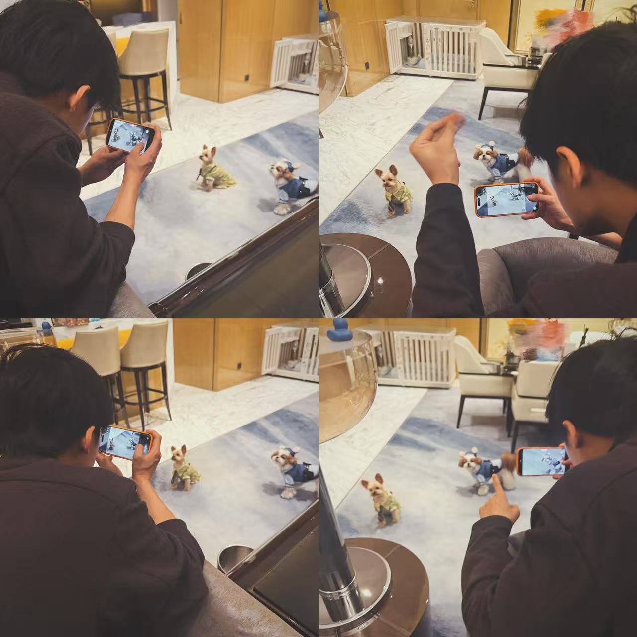 展示成果中…不仅会把拍照时的自己分享给我们，还会把拍摄成果给我们看😣😣😣，