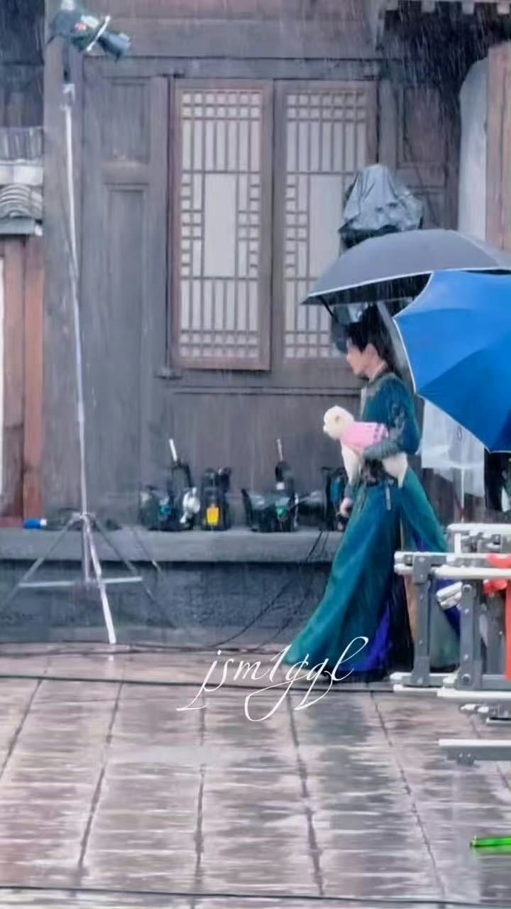 孟子义剧宣连狗都用上了 巧克力穿着百花杀应援服在横店当活广告的画面太有爱了！今天