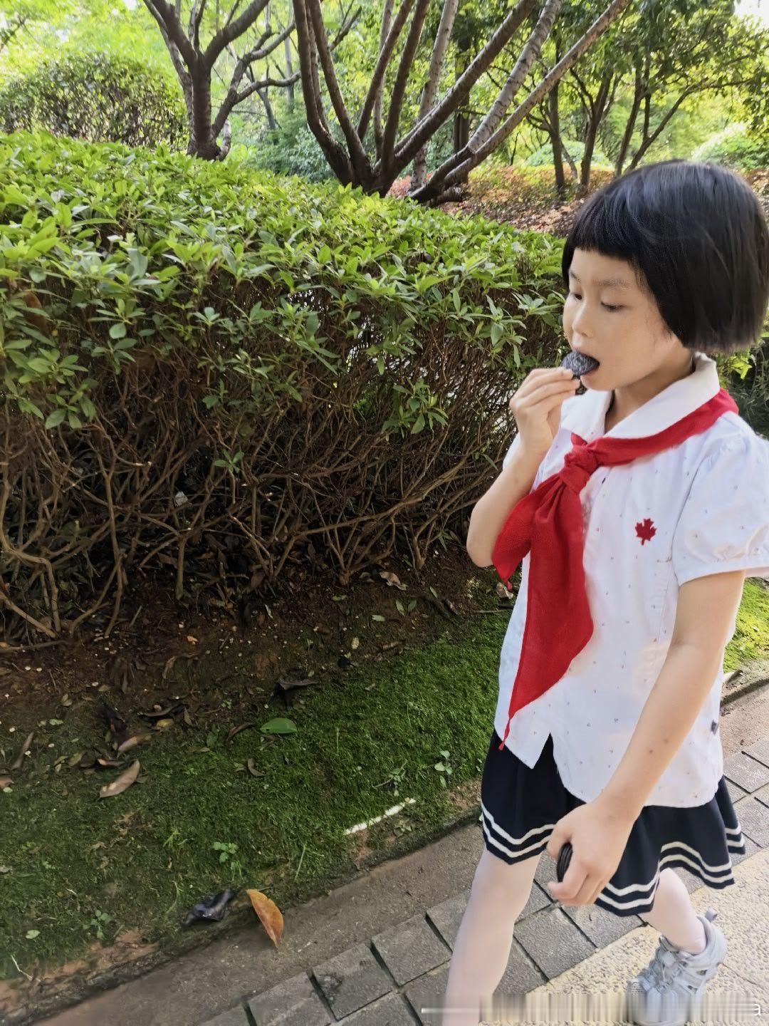 今天升旗 早早进校妮娜一家 饭团团日常