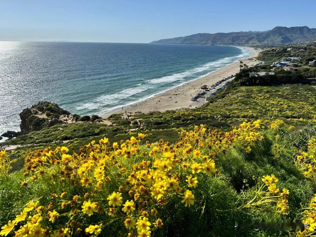 初二孩子的期末，
学校要参加统考，各科老师严阵以待。
海量的作业潮涌般袭来。
每