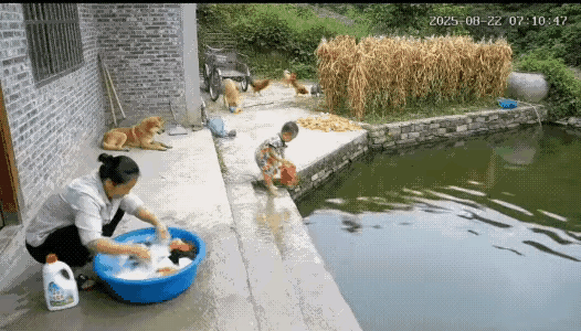 水乡的娃娃基本上都会水，这背后可藏着大学问！在水乡，水网密布，沟渠纵横，就像血管