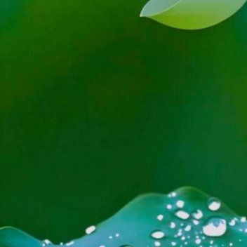 正能量学会看轻，是给人生巧妙做减法。试着清空内心堆积的烦恼，果断丢掉多余的负累，