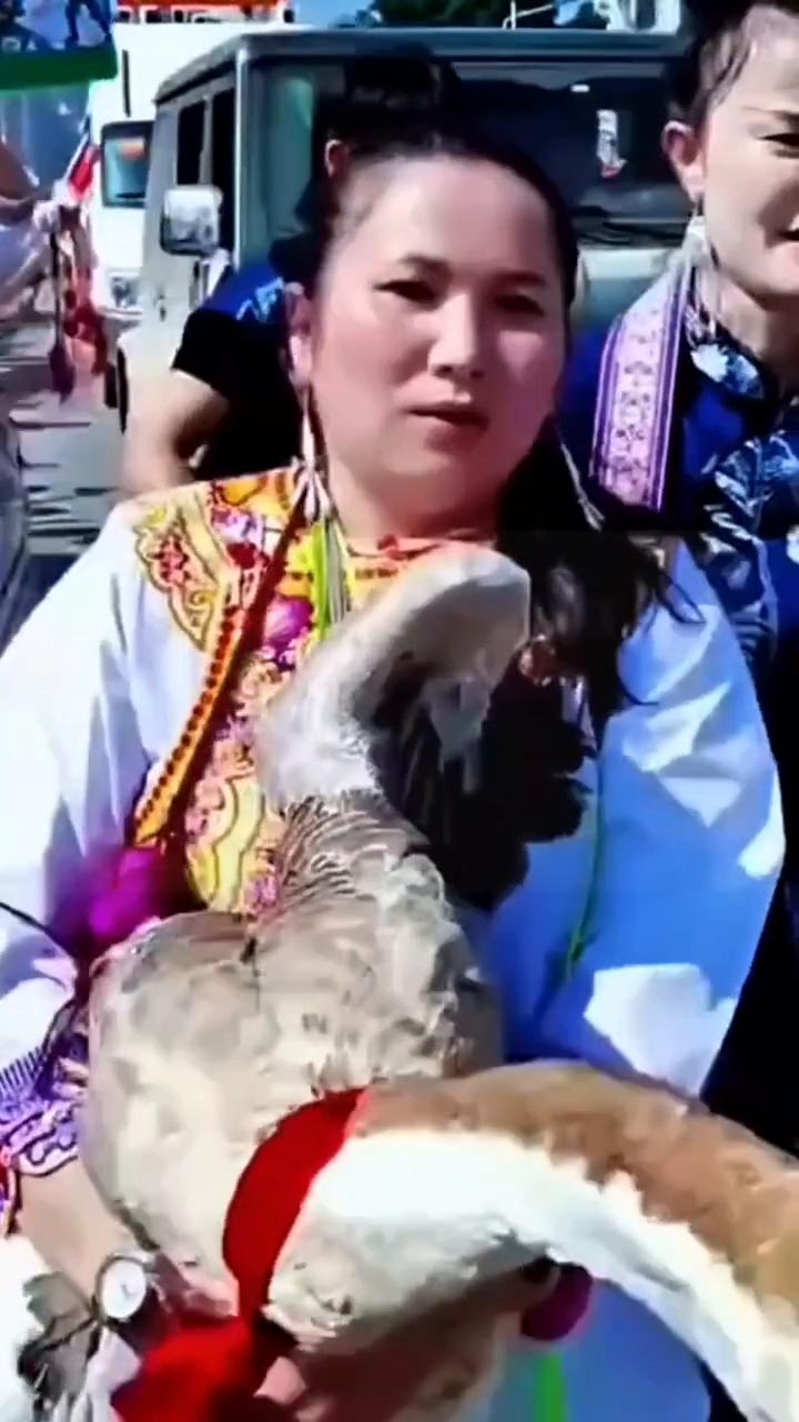 为了事无悔，望穿天涯。