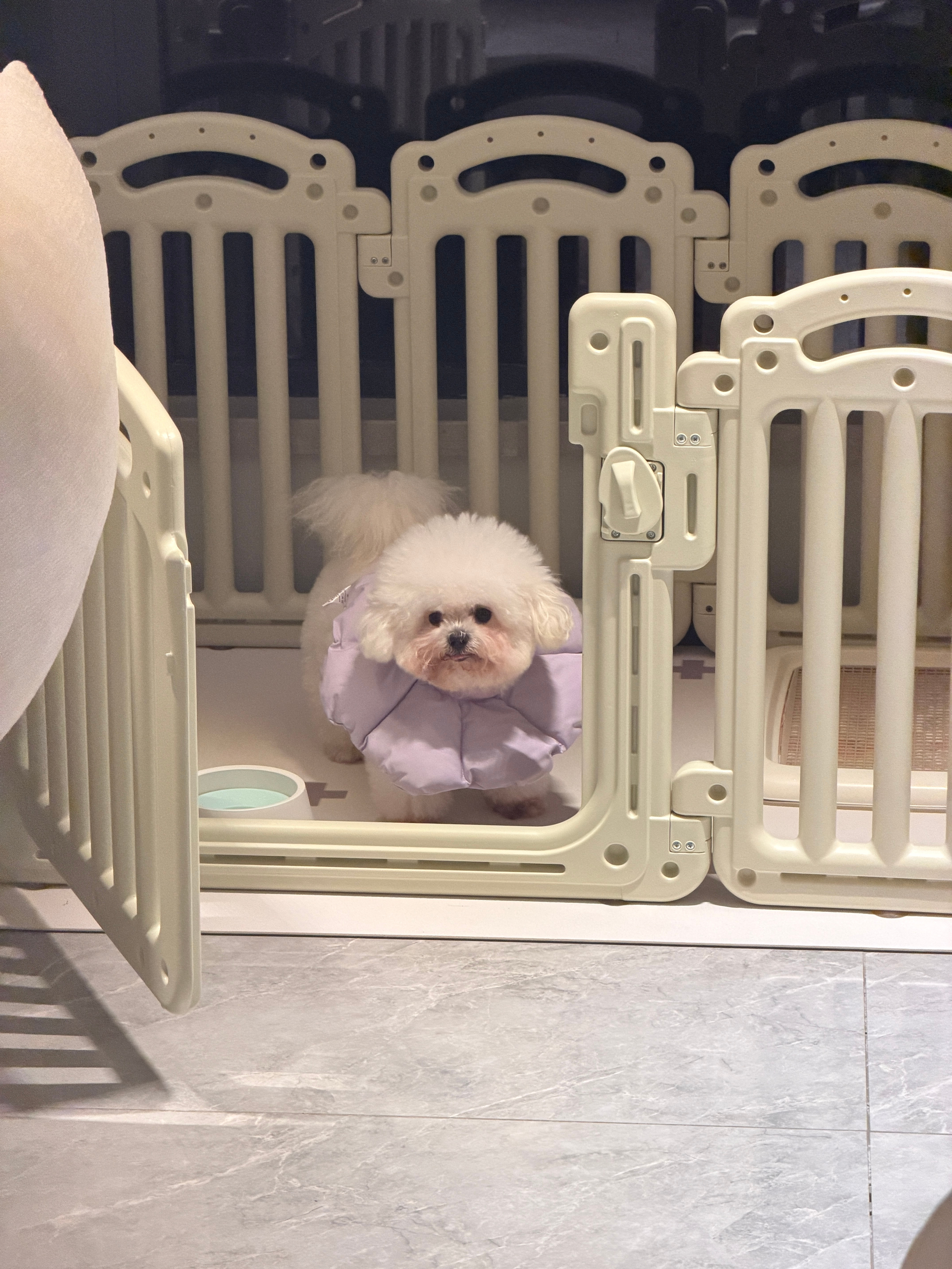 没有消失 这两天在好好休息