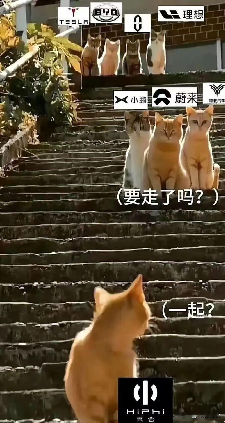 蔚来：现金570亿元，年亏损220亿
小鹏：现金360亿元，年预计亏损120亿

