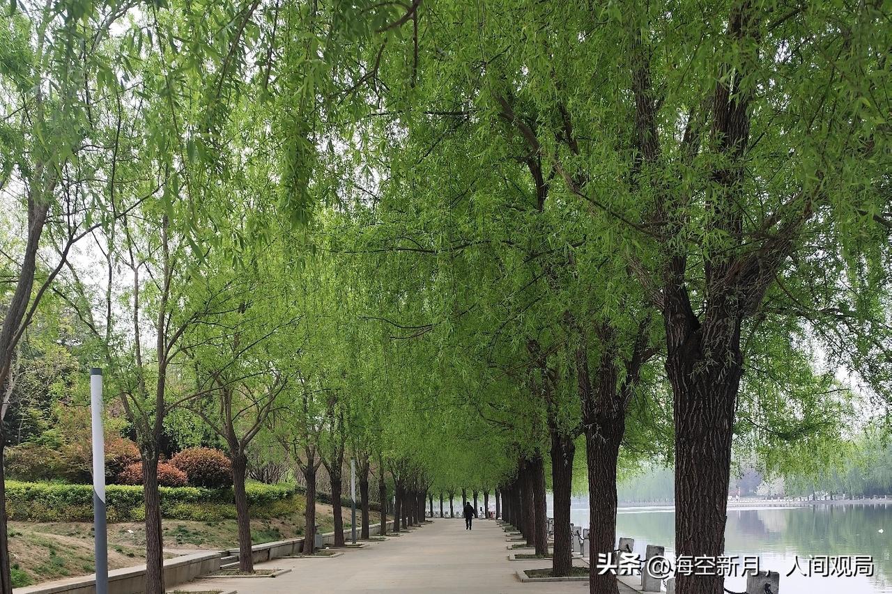 “中国人吃饱饭才几天，知足吧”——老公一句话，把我点醒了！

心烦的时候，我把头