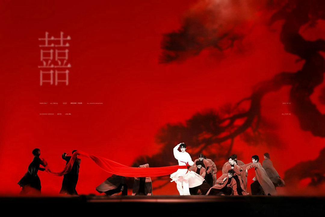 苏新皓 红海视角满目连绵不绝的红色灯海铺展开来，他频频望向台下。舞台之上与星海之