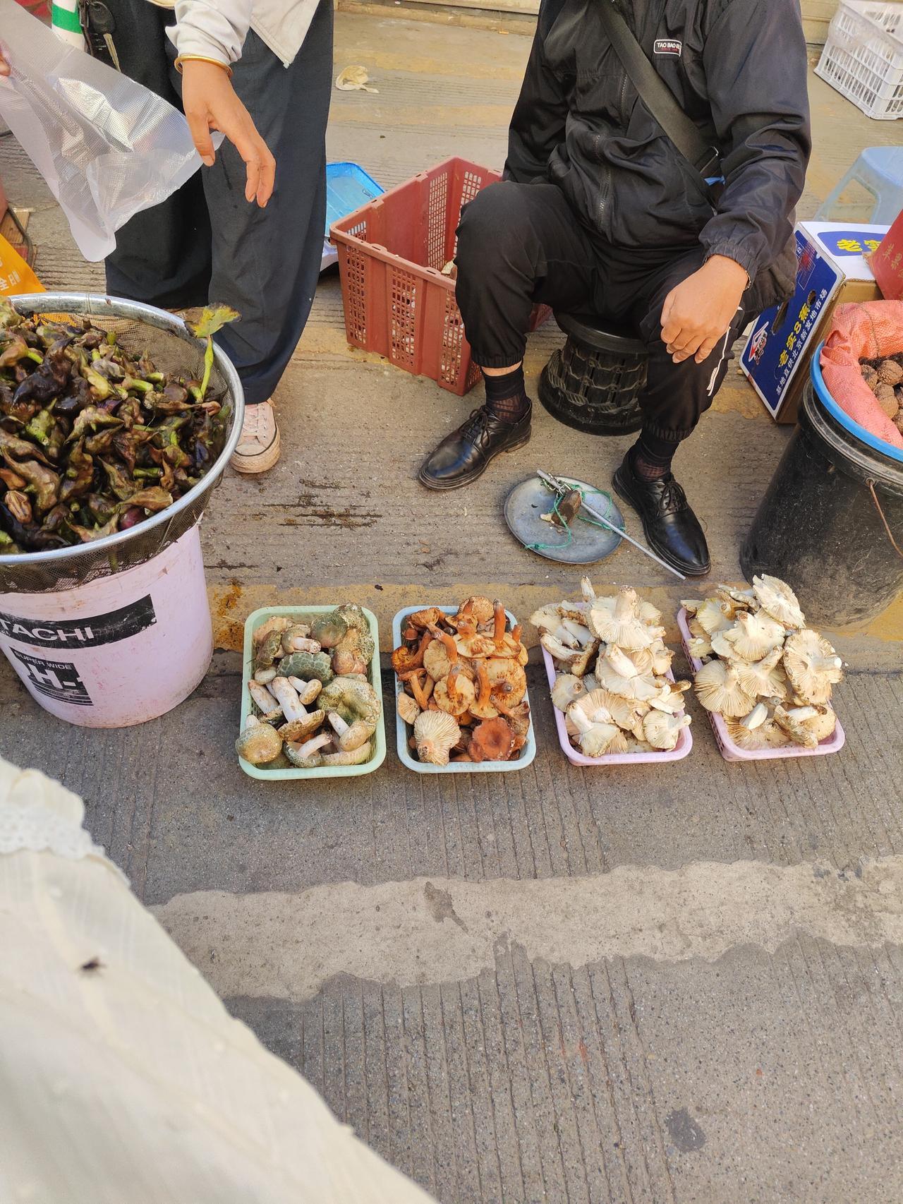 在大理的农贸市场里，被这一摊摊菌子彻底迷住了！青头菌、奶浆菌、见手青……五颜六色