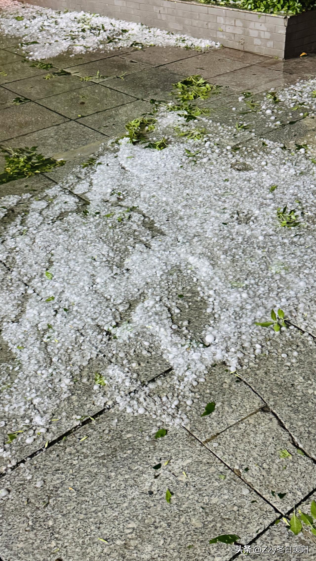 天气预报难得这么准，一场暴雨加冰雹如期而至。