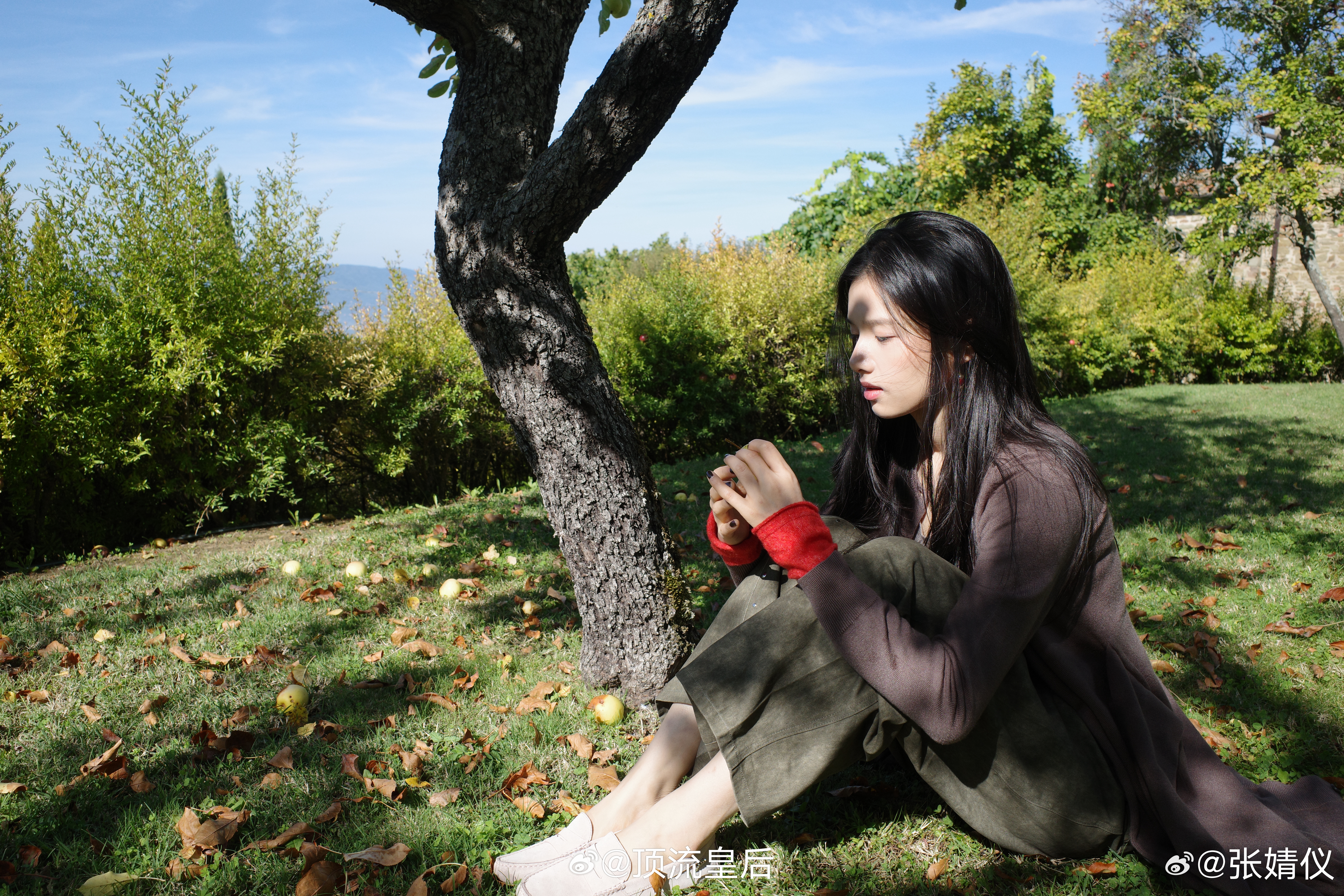 张婧仪真好看，是生图直出的美貌。 ​​​