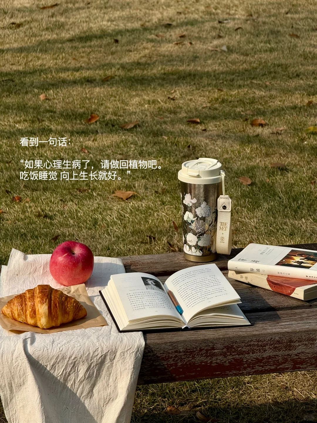 “日光晒到哪里，就把椅凳搬到哪里。”