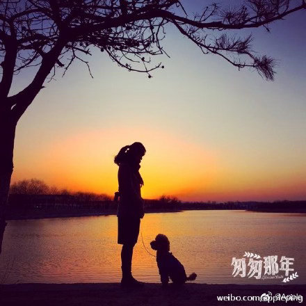 陪你看世界 我亲爱的狗狗 波比，今天是你的17岁生日🎂，本想给你好好过个生日，