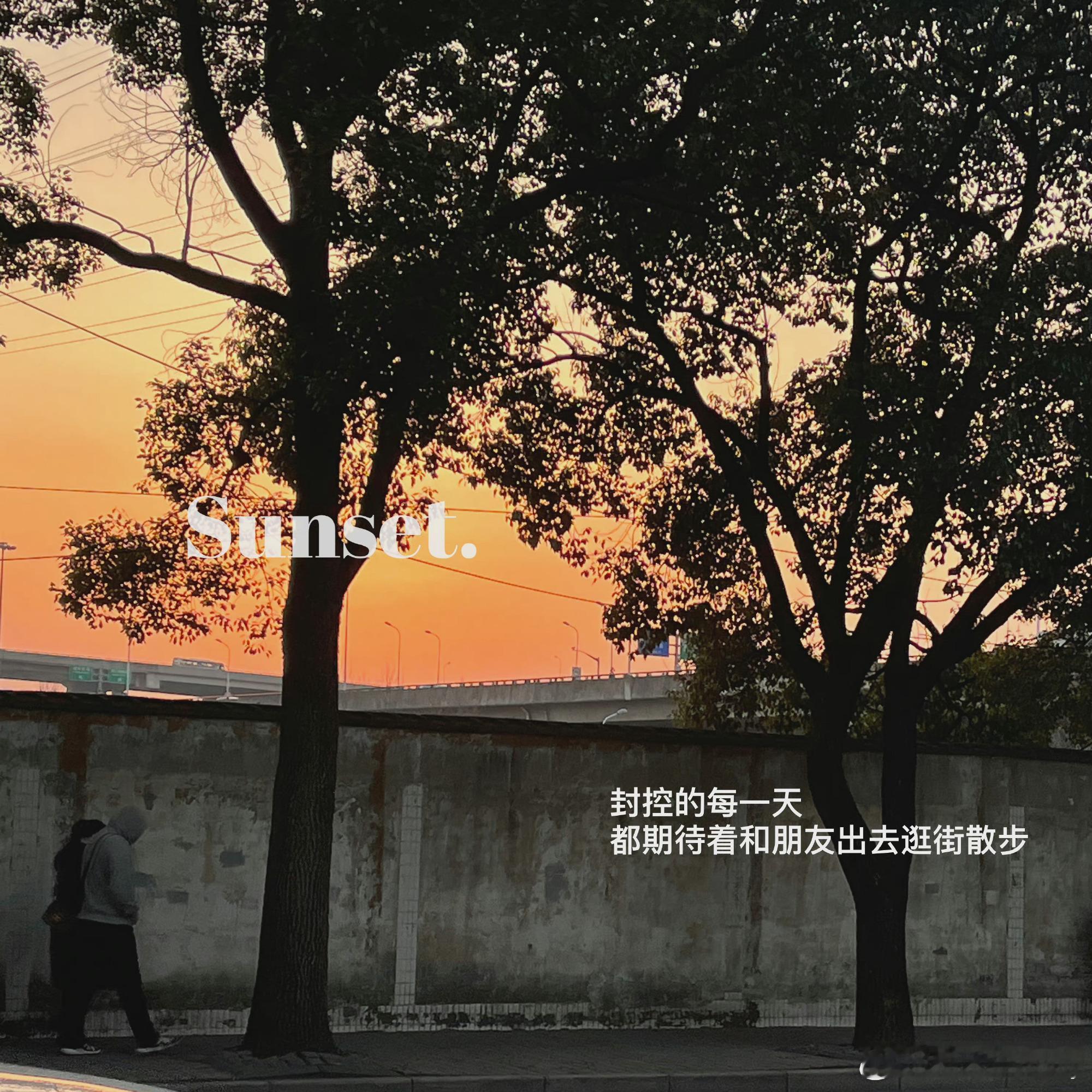 很喜欢村上春树的一段话：“不是所有的鱼都生活在同一片海里，人各有不同，无论遇到什