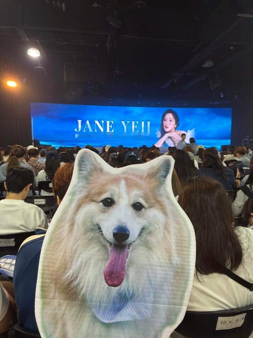 JaneKao 🥥🍰janekao 🈶家属入场了😂😂😂🐶