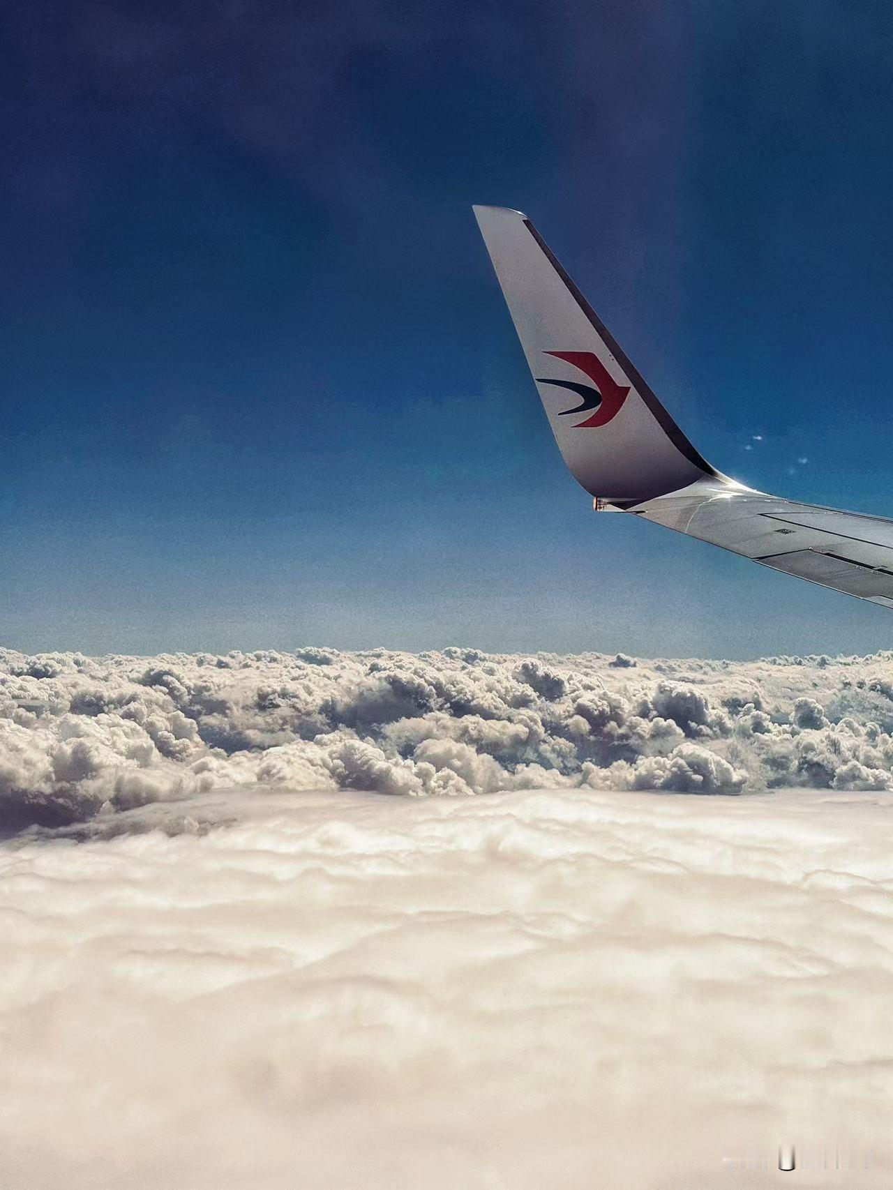 举盏邀星星渐明