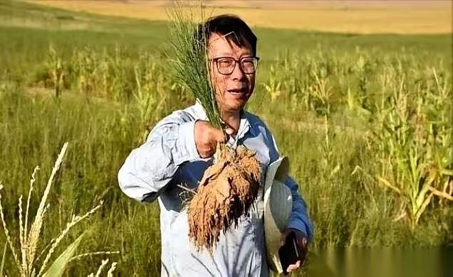 一个修了一辈子桥的教授，正盯着手里的混凝土配方发愁。
 
他脑子里突然蹦出一个念