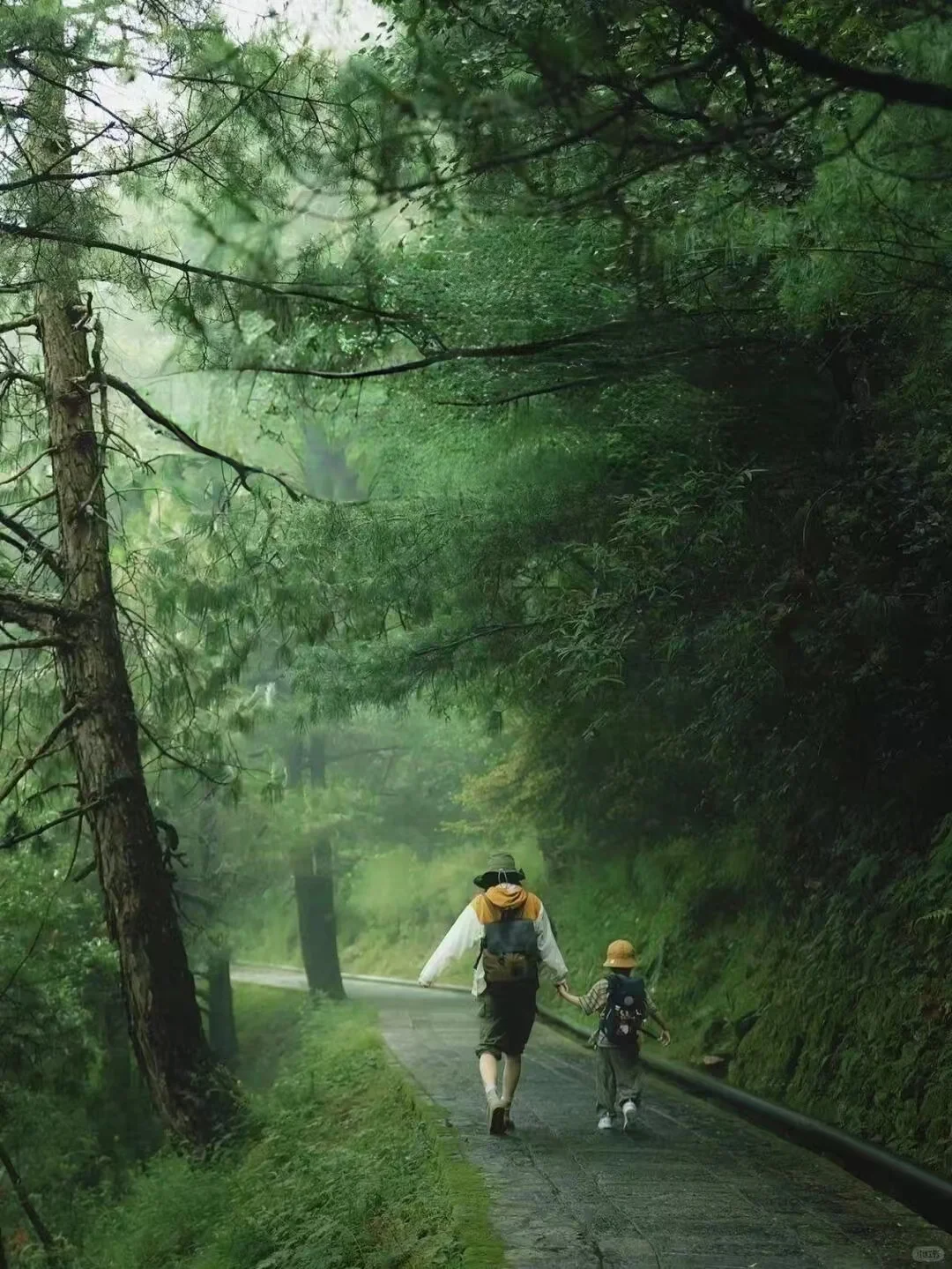 人生建议：长白山带娃一定要试试反季☘