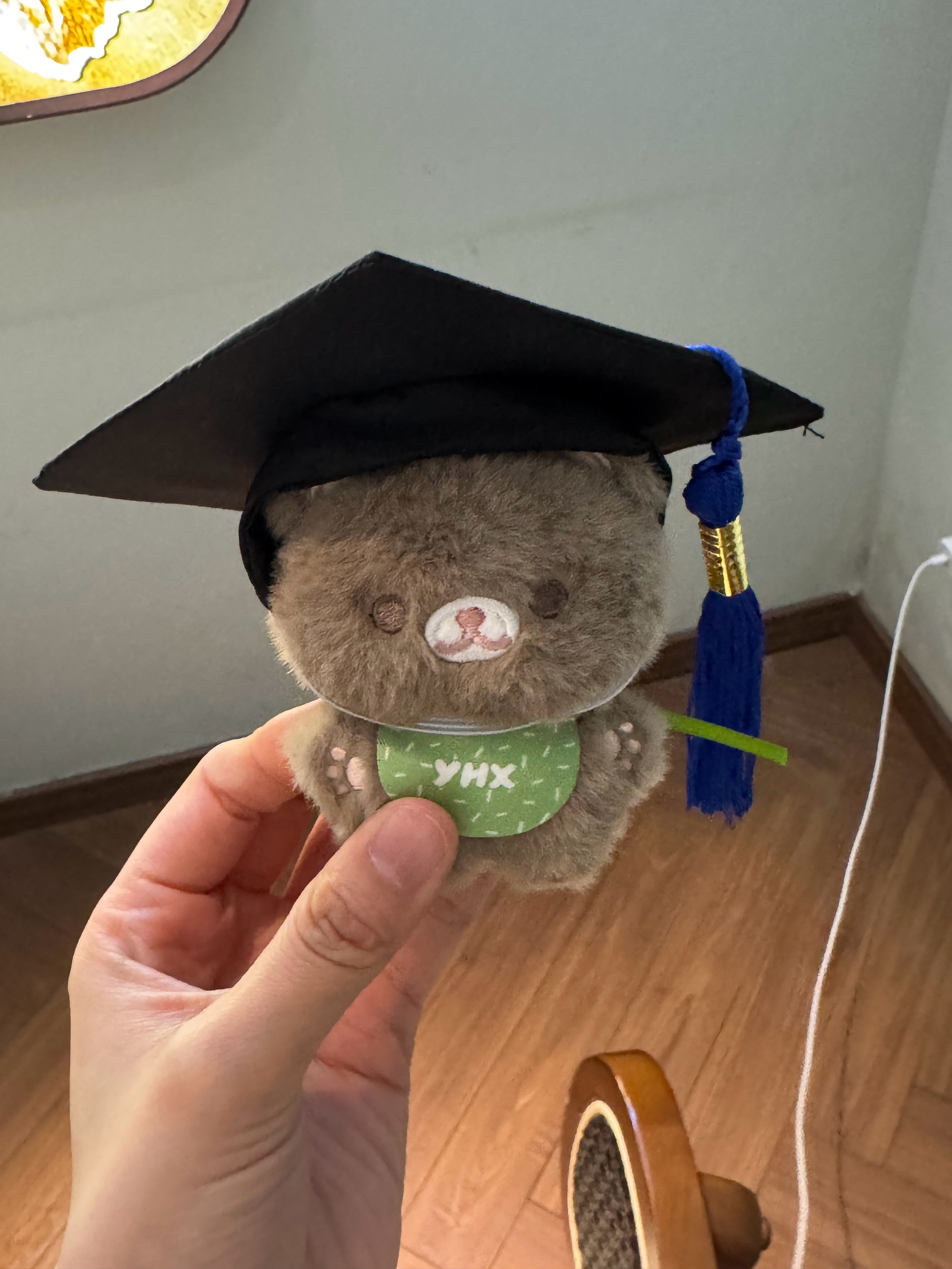 🎓 