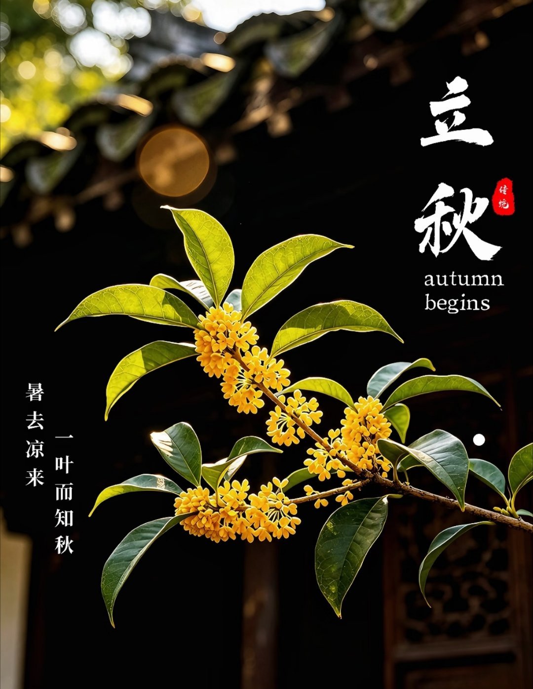 立秋第一杯奶茶的受益者出现了 这一届秋天的仪式感，真的把奶茶店和外卖平台推上了巅