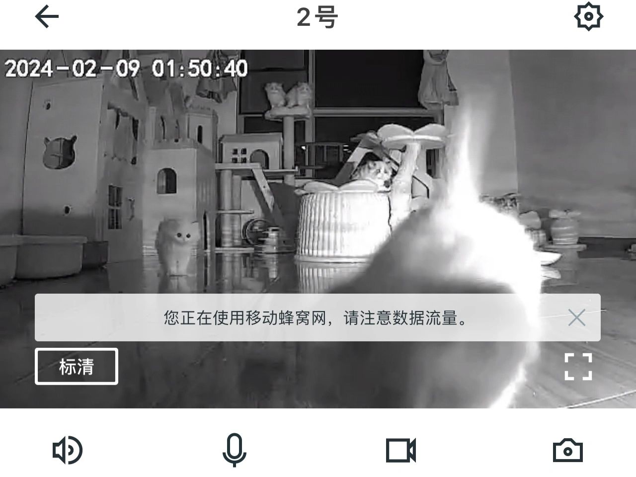 打开监控就看到一只小精灵😻太可爱了！