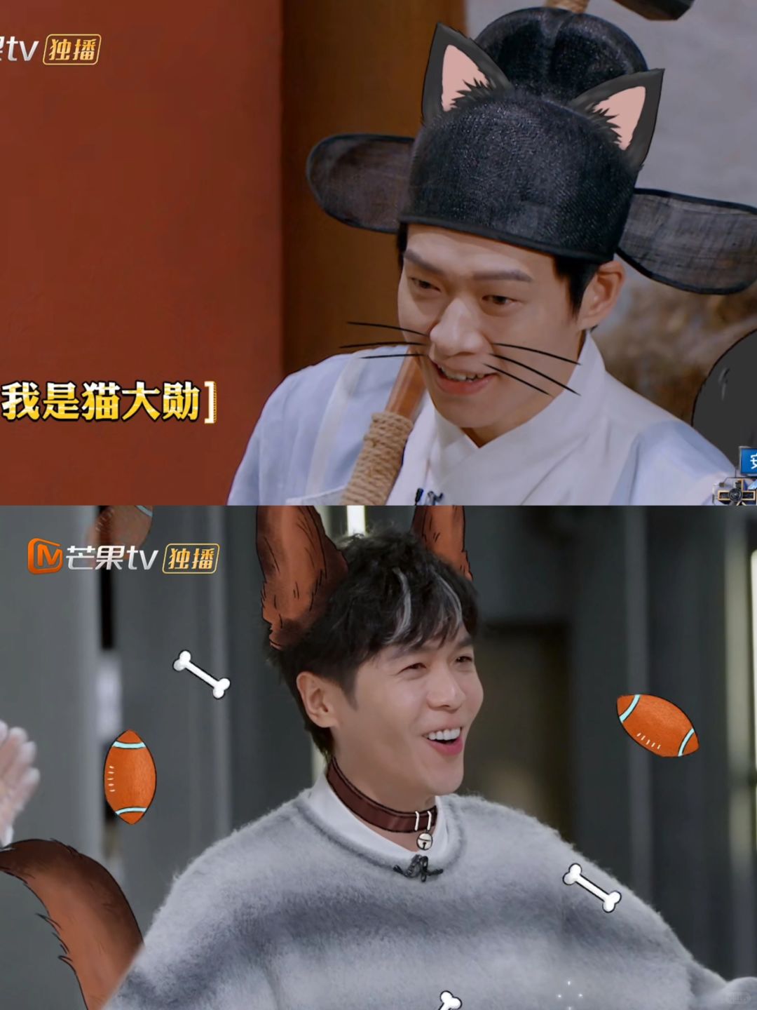 继大勋猫之后，又出现一只狗狗张张包，明侦简直不要太可爱！而且每个人都觉得猫猫和狗...