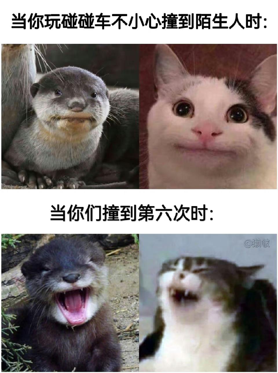 喜欢就点个关注吧每日一笑 万万没想到 看一遍笑一遍