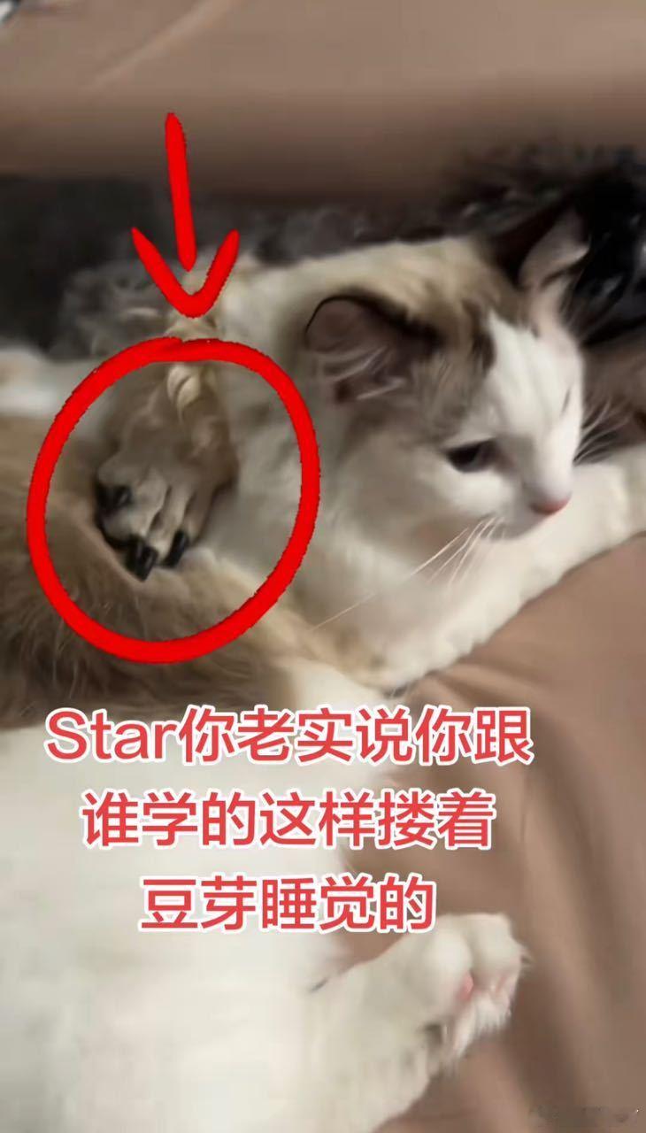 高哥，孩子还小呢云熠星河 注意点影响云旗郝熠然巴黎高定周