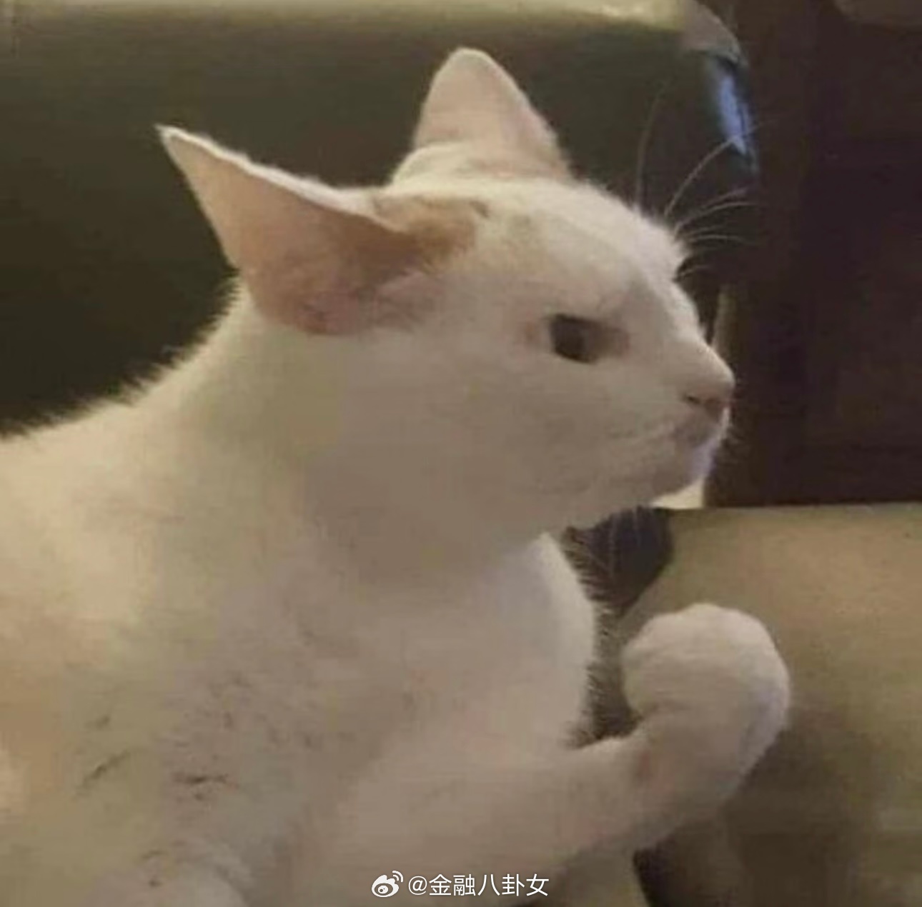 中国RGB技术比日韩快一步世界顶级赛事遇见国产高端显示屏 中国显示技术再次实现关