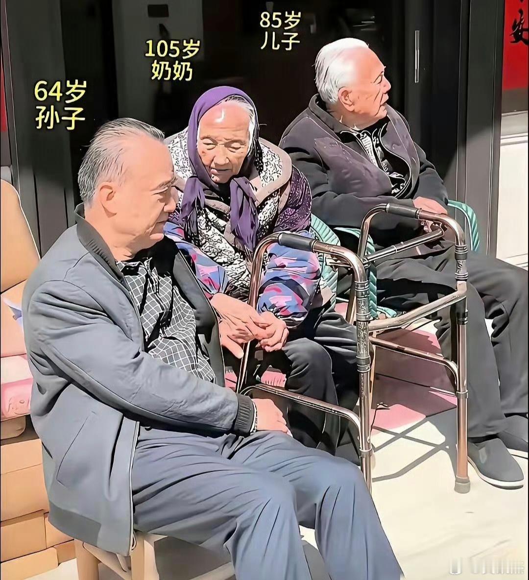 长寿基因非常重要～～～能看到孙子退休，真的太幸福了。 